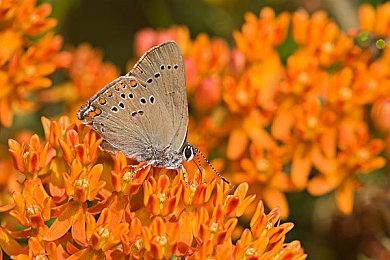 外媒Gamersrd打3分差评《星球大战：亡命之徒》：不如玩《黑神话：悟空》